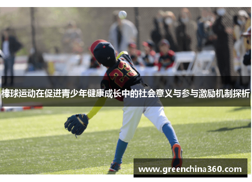 棒球运动在促进青少年健康成长中的社会意义与参与激励机制探析