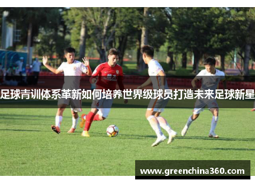 足球青训体系革新如何培养世界级球员打造未来足球新星