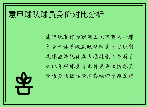 意甲球队球员身价对比分析